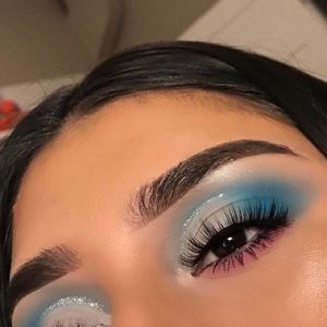 Meet your Posher, Reagan